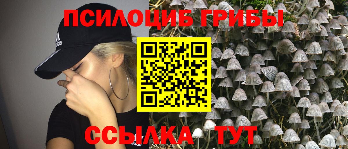 Галлюциногенные грибы Psilocybe  Вход с VPN  Ртищево 