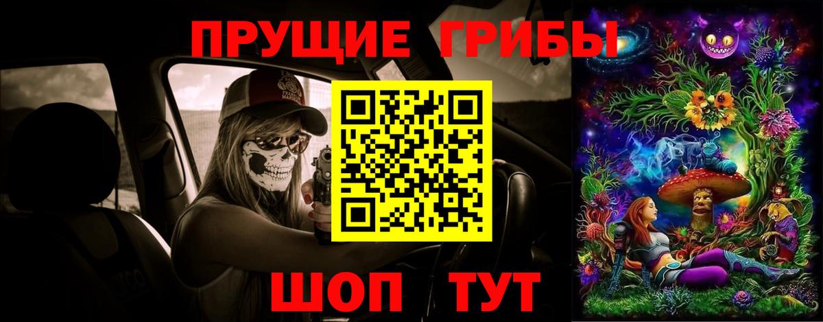 Галлюциногенные грибы Psilocybe Ртищево